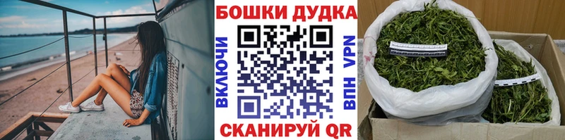 Каннабис Amnesia  гидра ONION  Новый Уренгой 